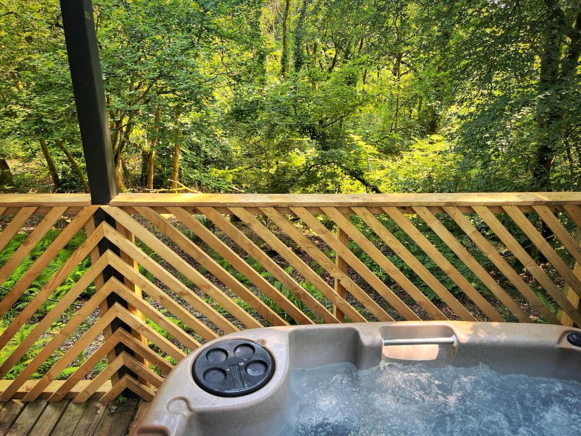 Goldcrest 3-Hot Tub-Woodland Lodges-Carmarthenshire-Tenby Luaran gambar